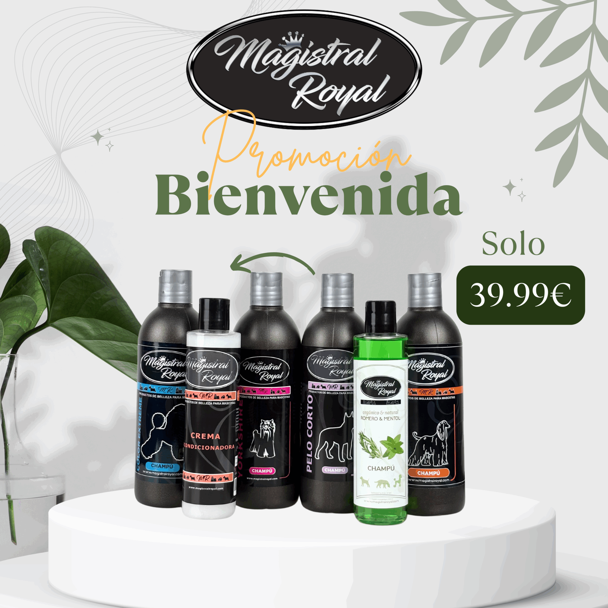 Promoción Bienvenida