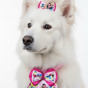 Conjunto lazo y collar Minnie